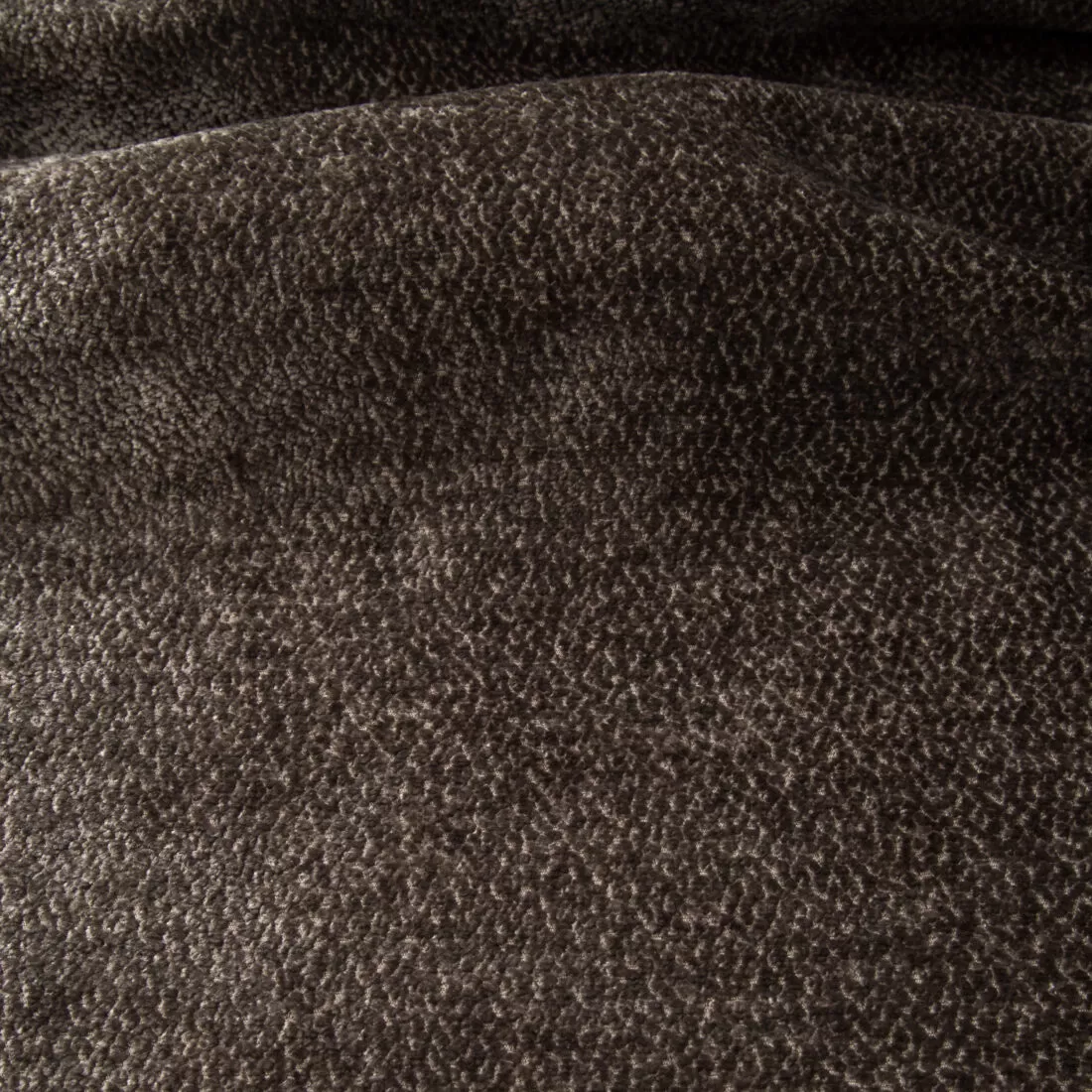 Aphrodite – Bild 6